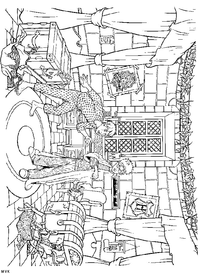 harry potter013